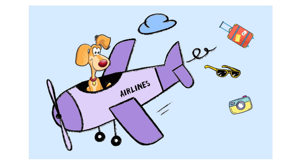 Hundetasche für Flugzeug | Hund im Flugzeug mitnehmen | Fluggesellschaften vergleichen & Tutorial | 2024